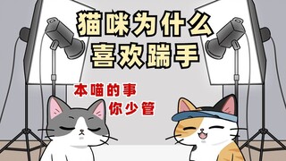 你家猫咪是不是也总喜欢农民揣