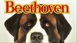 Beethoven (1992) บีโธเฟน ชื่อหมาแต่ไม่ใช่หมา