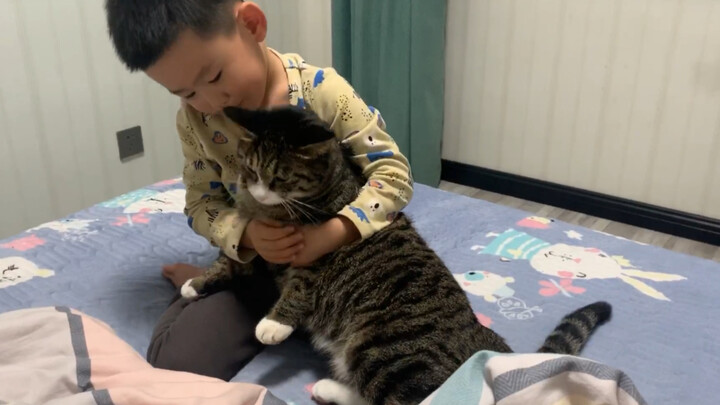 [Animals]The cat is getting along well with the little boy