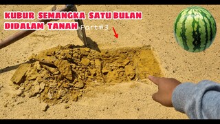 EKSPERIMEN: KUBUR BUAH SEBULAN DIDALAM TANAH KUNING, Hasilnya Mengejutkan.. part#3