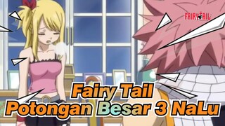 [Fairy Tail] Potongan Besar 3 NaLu