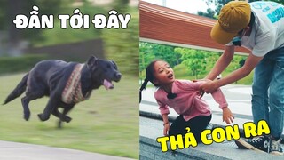 Đần Đen Thông Minh | Đần Sẽ Đến Cứu Bạn Ngay Đây, Không Cần Phải Sợ Hãi Nữa 😍 Gâu Đần Official