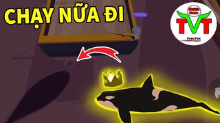 24H Săn Cá Trên Thuyền, TVT May Mắn Hốt Luôn Siêu Phẩm Voi Sát Thủ VM | Play Together