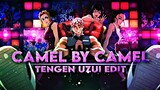 Tengen Uzui - Camel by Camel [AMV/EDIT]! Demon slayer season 2