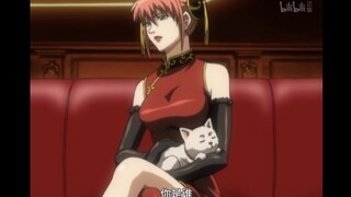 [Kesejahteraan] Gintama Empat wanita cantik! Anda termasuk siapa?