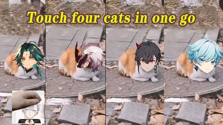 [Kinsen] Touched Four Cats All At Once