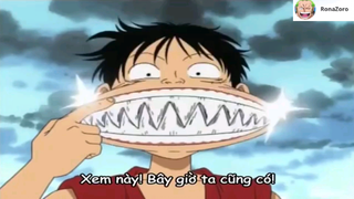 Trận thi cắn nhau ác chiến của Luffy [AMV] #anime #onepiece #daohaitac