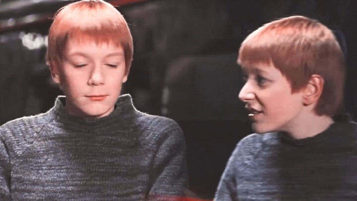 HP Weasley Twins】Saya memiliki segalanya kecuali kehilangan perspektif Anda/George