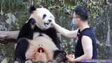 A Four-Year-Old Panda And His Keeper