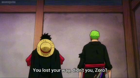 Luffy and Zoro got lost