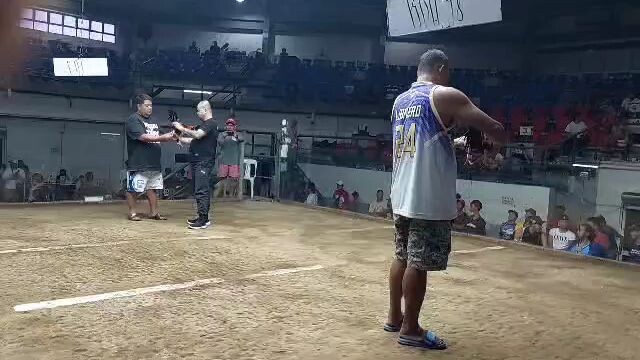 olat's ang aking Talisay..#4m'sgamefowl...#coliseodemanila