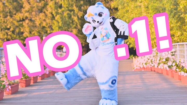 【fursuitdance】双十一来看元气爆棚的异格小白熊带来的NO.1 吧！