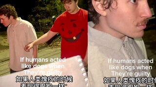 如果人类做错事愧疚的时候表现得跟狗一样