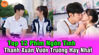 Top 12 Phim Ngôn Tình Thanh Xuân Vườn Trường Hoa Ngữ Hay Nhất Bạn Không Nên Bỏ Lỡ