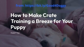 How to Make Crate Training a Breeze for Your Puppy -  Expert Tips