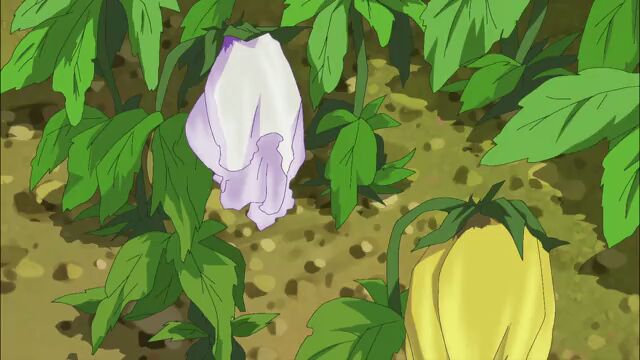 HeartCatch precure episode 45 - BiliBili