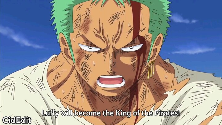 Nothing Happened! Zoro takes luffys pain