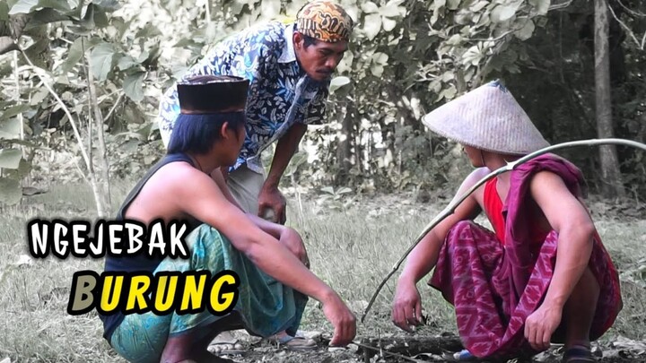 MADURA LUCU..,NGEJEBAK BURUNG