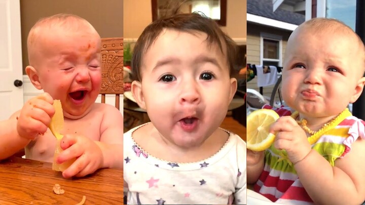 Videos De Risa ○ Videos Graciosos - Reacción Divertida Del Bebé a la Comida / Funny Videos - Bstation Videos De Risa ○ Videos Graciosos - Reacción Divertida Del Bebé a la Comida / Funny Videos - Bstation