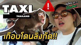 เรื่องผีจาก Taxi "ผมขอ1บาตร" :ไปไหนก็ไปเล้ย EP.3