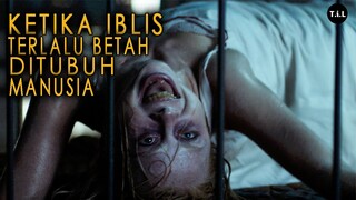 DISANGKA SUDAH MATI PADAHAL KESURUPAN | ALUR CERITA FILM THE POSSESION OF HANNAH GRACE
