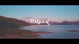 TIMBER - PITBULL X KESHA [ FUNKY BEATS X BASS REMIX ] DJ RONZKIE REMIX