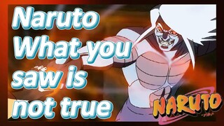 Naruto What you saw is not true