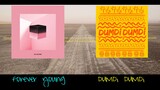 [DUMDi DUMDi × Forever Young] ปังที่สุด | (G)I-DLE × BLACKPINK