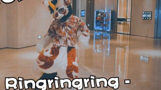【Tarian naga kecil!】 【Ringringring】Tarian kostum bulu Tampaknya semua orang lebih tertarik pada tari