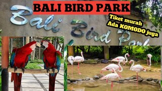 bali bird park