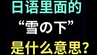 日语里的“雪の下”是什么意思？【每天一个生草日语】