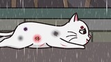 [แมวเหมียว] เพื่อให้ลูกแมวได้กินอาหาร แม่แมวยอมเจ็บอยู่ท่ามกลางสายฝน