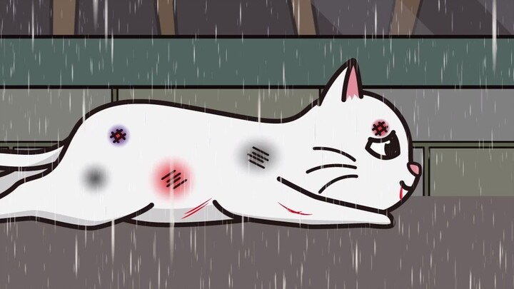 [Động vật] Mèo mẹ gục ngã trong mưa rét để kiếm miếng ăn cho con