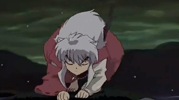 [InuYasha] “Tapi kelihatannya seperti anjing.”