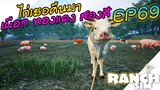 Ranch Simulator SS2 [ไทย] ไถวัวกลับฟาร์ม ครบทุกตัว EP.69