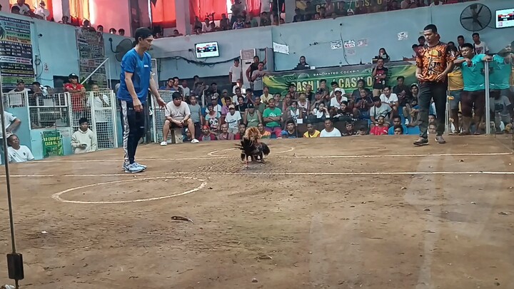 kadugting ng pachampion sa san mateo