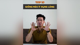 Top 10 giống Mèo ít rụng lông nè tuitienpet petonesaigon petnhatrang dcgr