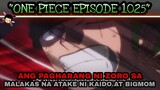 One piece ep 1025 (Chapter Review) Zoro vs Kaido and Bigmom attack