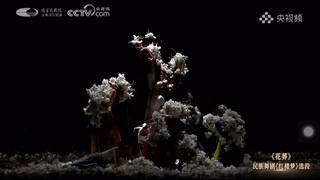 【花葬】【红楼梦】【舞典华章】我一顿暴哭，隔着屏幕我都能起鸡皮疙瘩！