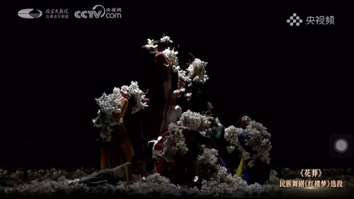 【花葬】【红楼梦】【舞典华章】我一顿暴哭，隔着屏幕我都能起鸡皮疙瘩！
