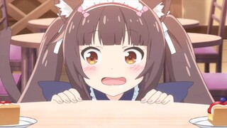 [Anime] "Nekopara" | Miêu nữ