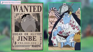 Harlan bậc thầy xu hướng - Review - Nguồn Gốc Về  Anh Hùng Biển Cả Jinbei #anime #schooltime