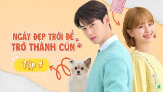 Phim Ngày Đẹp Trời Để Trở Thành Cún - Tập 9 - Vietsub