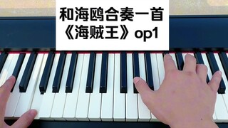 和海鸥合奏一首《海贼王》op1！身残志海贼王！