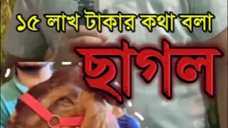 ১৫ লাখ টাকার কথা বলা ছাগলটির সাক্ষাতকার 🤣