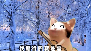 我期待的就是雪(主打反骨)