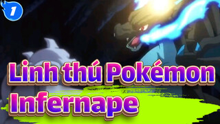 [Linh thú Pokémon]Bạn còn nhớ Infernape không_1