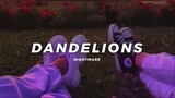 Dandelions - (Slowed+reverb) Full Song Lyrics