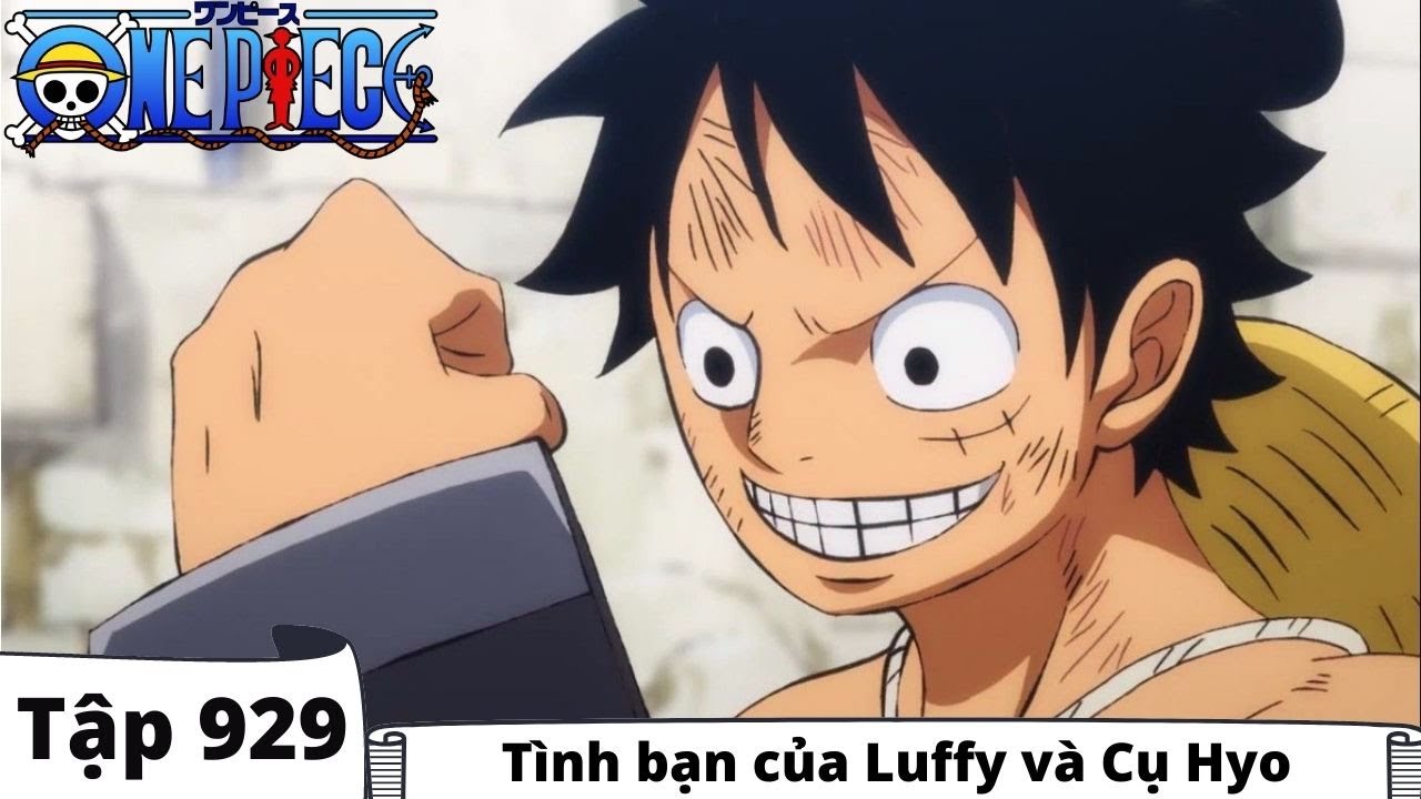 One Piece Tập 929 Tóm Tắt - Tình Bạn Của Luffy Và Cụ Hyo - Đảo Hải Tặc -  Bilibili