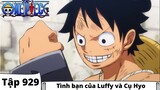 One Piece Tập 929 Tóm Tắt - Tình bạn của Luffy và Cụ Hyo - Đảo Hải Tặc